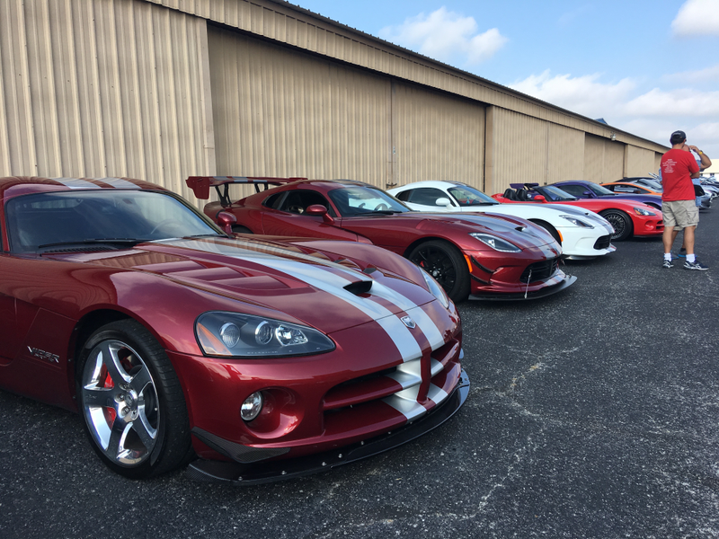 So many Vipers